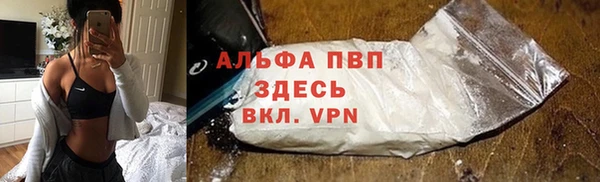винт Дмитриев