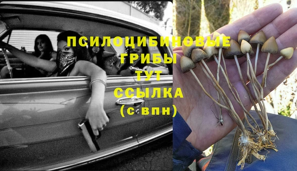 кокс Дмитров