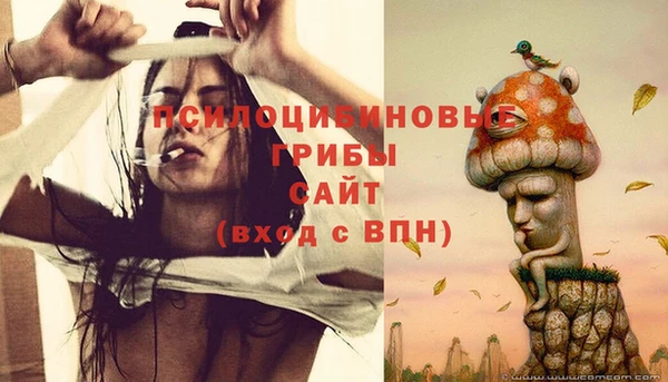 винт Дмитриев