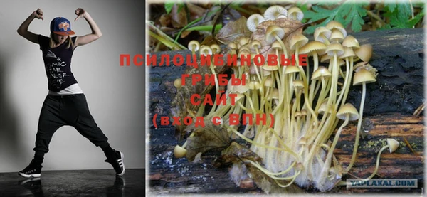 дурь Братск