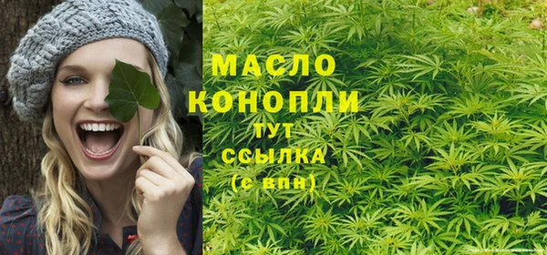 винт Дмитриев