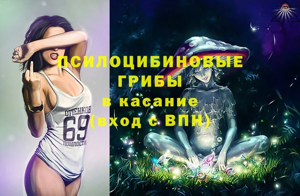кокс Дмитров