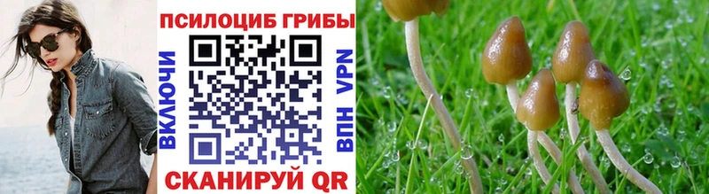 Псилоцибиновые грибы мухоморы Майский